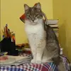 Отзыв от Яна Белова